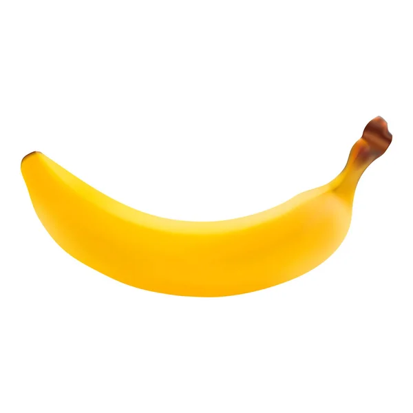 Única fruta fresca de banana isolada em um fundo branco . — Vetor de Stock