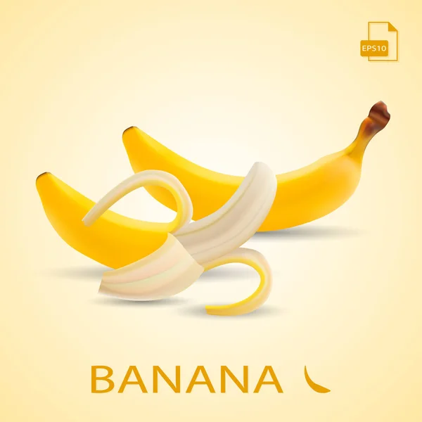 Σετ δύο νωπών μπανανών που απομονώνονται σε ένα φόντο. — Διανυσματικό Αρχείο