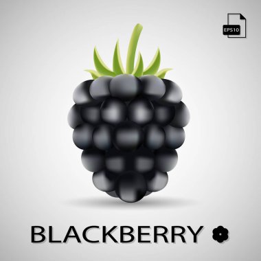 BlackBerry. Tatlı meyve. Bir arka plan üzerinde izole orman Berry.
