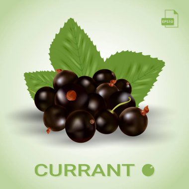 Blackcurrant, olgun çilek ve yeşil yaprakları.
