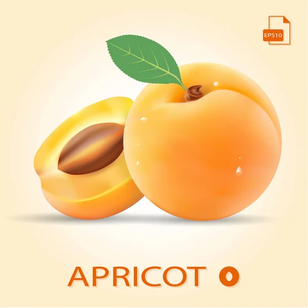 Set Of Two Fresh Apricots With Leaf. - Stok Vektor