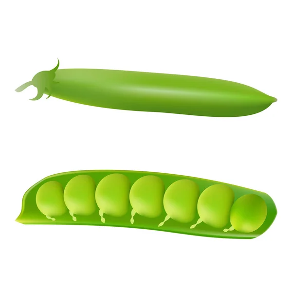 Set Of Shelled Fresh Green Peas Isolated On A White Background. — Stock Vector