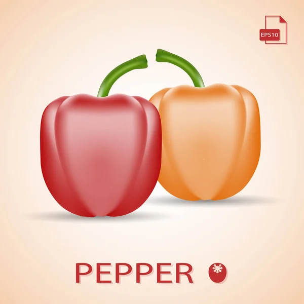 Set Of Two Fresh Sweet Peppers Red And Orange. — Stock Vector