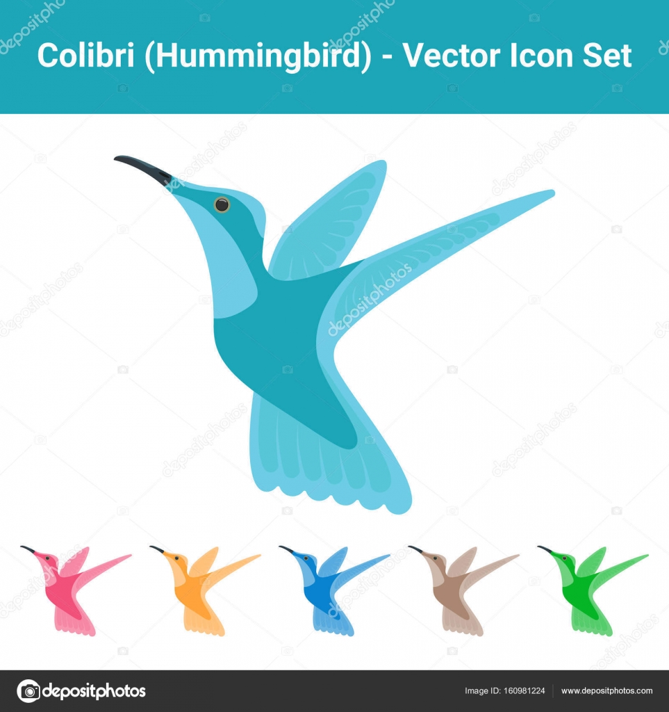 Colibri Hummingbird Set di diversi uccelli colorati isolati su sfondo bianco Illustrazione di
