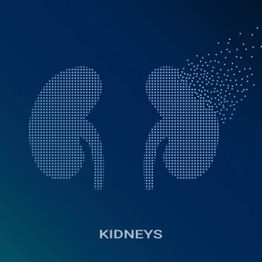 Mavi arka plan üzerinde insan böbrekler tasarlamak vektör çizim. Nefroloji ve Üroloji piksel sanat Logo. Vektör logo çizim. Yaratıcı tıp kavramı