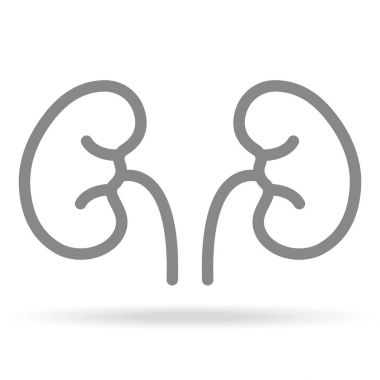 İnsan böbrek, Nefroloji kutsal kişilerin resmi içinde beyaz arka plan üzerinde izole Trendy ince çizgi stili. Tıbbi simge tasarım, Apps, Logo, kullanıcı arabirimi için. Vektör çizim.