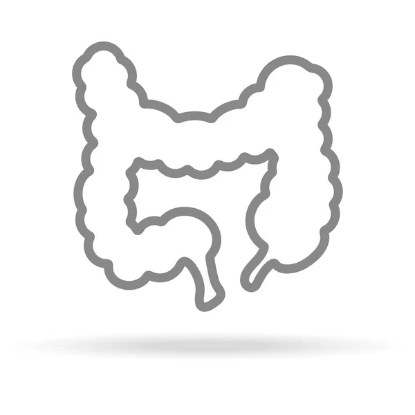 Menselijke darm pictogram In Trendy dunne lijnstijl geïsoleerd op een witte achtergrond. Medische symbool voor uw ontwerp, Apps, Logo, Ui. Vectorillustratie. — Stockvector