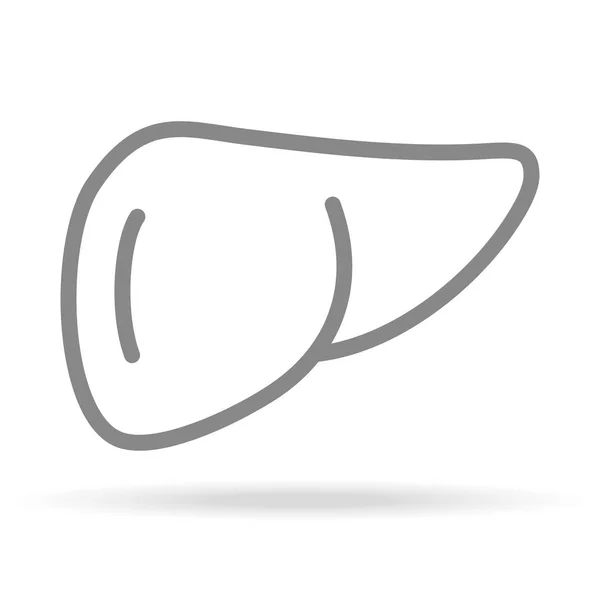 Ícone de fígado humano na moda fina linha estilo isolado em fundo branco. Símbolo médico para o seu design, Apps, logotipo, UI. Ilustração vetorial . —  Vetores de Stock