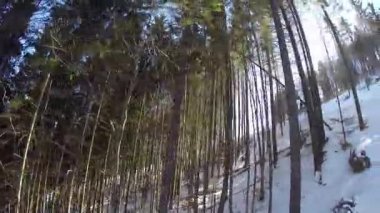 Dağ güneş ağaçlar arasında Kayak Merkezi bakır alps, Asansör