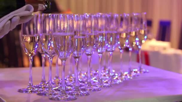 El camarero vierte champán en copas, copas de champán en la mesa buffet, la sala del restaurante o el hotel, los camareros mano en un guante blanco con una botella de champán, interior, primer plano — Vídeo de stock
