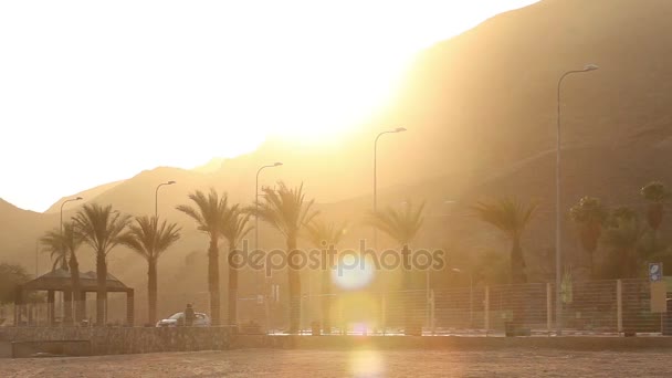 Palmiers le long de la route au coucher du soleil, palmiers sur fond de montagnes, le soleil se couche sur la montagne dans un pays tropical, soleil, orange, rayon de soleil à travers les palmiers, palmiers le long de la route — Video