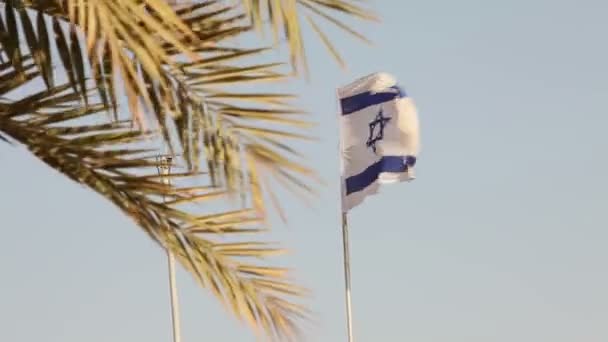 Tropische Palmen auf dem Hintergrund der israel Flagge, israelische Flagge gegen den blauen Himmel, flache Schärfentiefe, sonniger Tag — Stockvideo