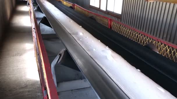 Band conveyer. Conveyor belt. Transportation of granulated raw materials to the warehouse, granulated raw materials, white, movement on the conveyor, conveyer line — Stock Video