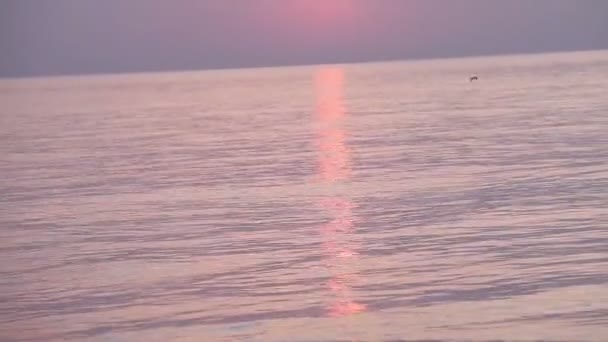 Hermosa puesta de sol en la playa, colores increíbles, haz de luz que brilla a través del paisaje nublado sobre el mar del golfo árabe . — Vídeo de stock