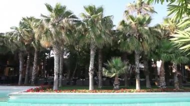 tropik ada resort Yüzme Havuzu ile palmiye ağaçları, şemsiye ve şezlonglar, panorama, rüzgarlı gün
