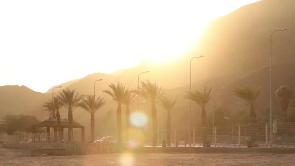 Palmeiras ao longo da estrada ao pôr do sol, palmeiras em um fundo de montanhas, o sol se põe sobre a montanha em um país tropical, sol, laranja, raio de sol através de palmeiras, palmeiras ao longo da estrada — Vídeo de Stock