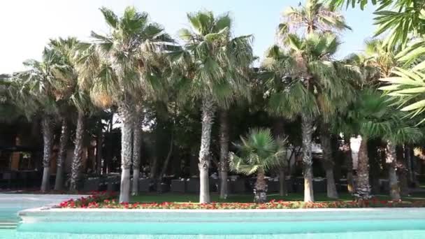 Dia ventoso na ilha tropical resort piscina com palmeiras, guarda-sóis e espreguiçadeiras, panorama — Vídeo de Stock