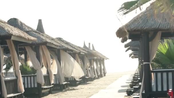 Песчаный пляж с соломенными зонтиками в ветреный день, пляжные зонтики у океана — стоковое видео