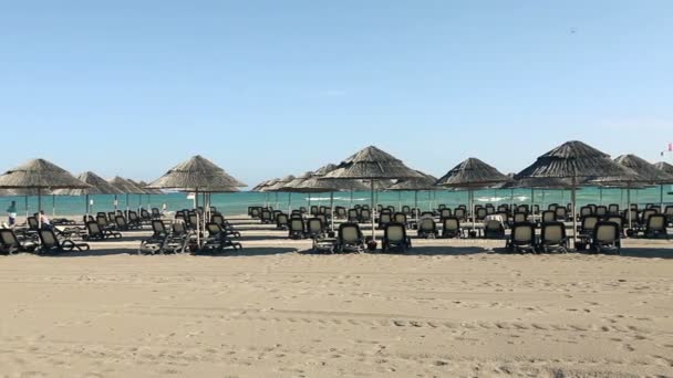 Sandstrand mit reetgedeckten Sonnenschirmen an einem windigen Tag, Sonnenschirme am Meer — Stockvideo