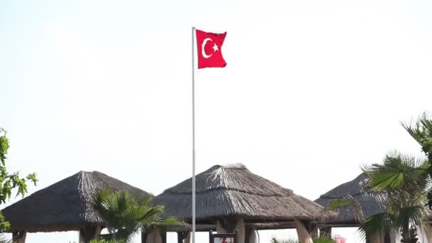 Flaga Turecka macha w błękitne niebo, flaga Turcji na wietrze — Wideo stockowe