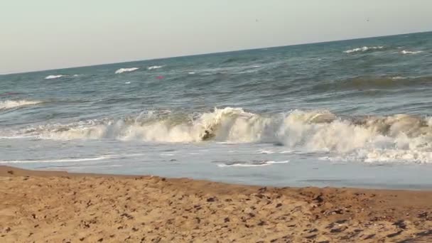 Oceano paesaggio marino al largo di Cabo San Lucas, grande onda schiantarsi sulla riva sabbiosa . — Video Stock