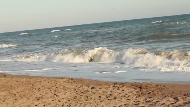 Ocean seascape scenic off Cabo San Lucas, large wave crashing on sandy shore. — Stock Video