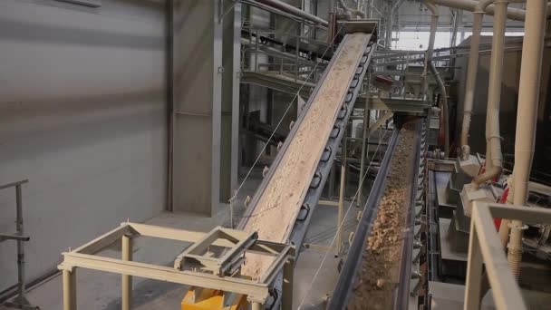 Na průmysl, keramický továrního zařízení, dopravu hlíny na dopravník pásový dopravník — Stock video