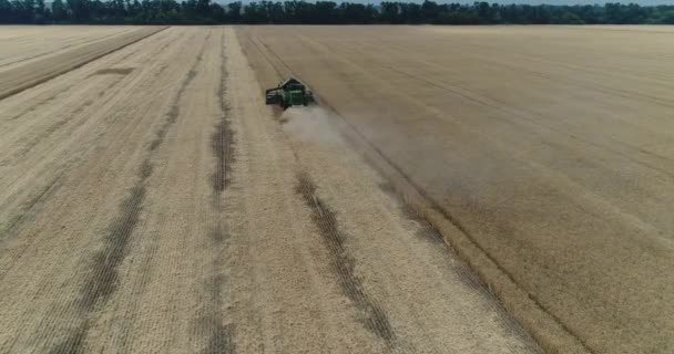 Widok z lotu ptaka na kombajnów i ciągników pracujących na polu pszenicy duży kombajn na polu pszenicy, zielony kombajn do pracy na polu, widok z góry, pole pszenica zbiorów, antena, 4k — Wideo stockowe