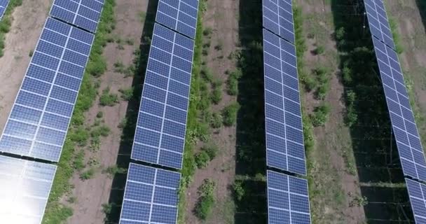 太陽光発電を空撮。再生可能な資源をテーマに産業の背景。上から、4 k の表示フィールド上に太陽電池パネル、ソーラー パネル太陽電池パネルの行の上を飛んで、 — ストック動画