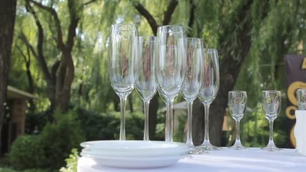 The waiter pours champagne in wineglass, in a restaurant, The waiter pours champagne in crystal glasses, Restaurant interior, buffet table, Waiter in white gloves, close-up — Stock Video