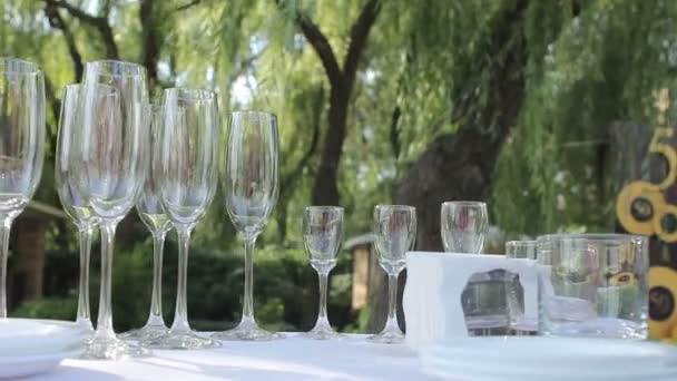 Många glas champagne på bordet, ett glas champagne närbild, en färgglada glas champagne, ett glas champagne på bröllopet — Stockvideo