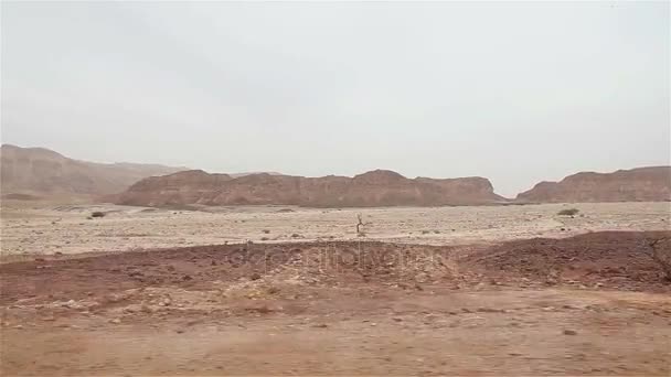 Vista del desierto rocoso con una ventana de coche, Montaña desierto panorama — Vídeo de stock