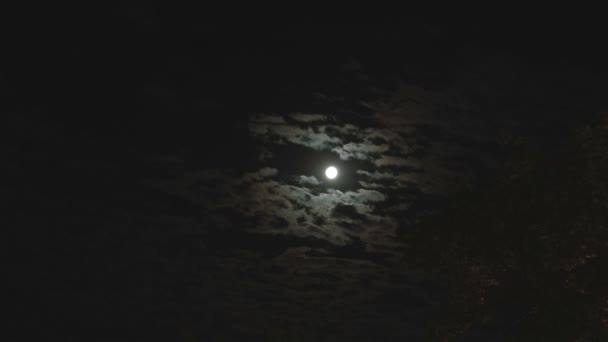 Fullmånen i natthimlen, ljusa månen, natthimlen, rörelse i moln på natthimlen mot bakgrund av en ljusa månen — Stockvideo