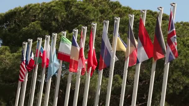 Bandiere colorate ondeggianti contro un cielo blu, molte bandiere ondeggiano nel vento — Video Stock