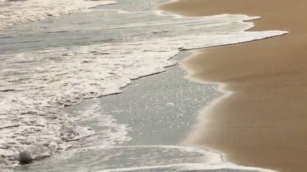 Oceaan zeegezicht schilderachtige uit Cabo San Lucas, grote golf crashen op zanderige oever. — Stockvideo