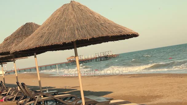Сенді пляж з солом'яними парасольками на A вітряний день, парасольками біля океану — стокове відео