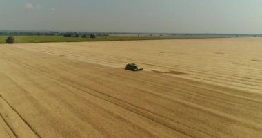 Büyük buğday alan, buğday alanında, çalışma alanı, yukarıdaki görünümünden, alan hasat buğday, anten, 4 k yeşil hasat hasat üzerinde çalışıyor Traktörler ve biçerdöverler havadan görünümü