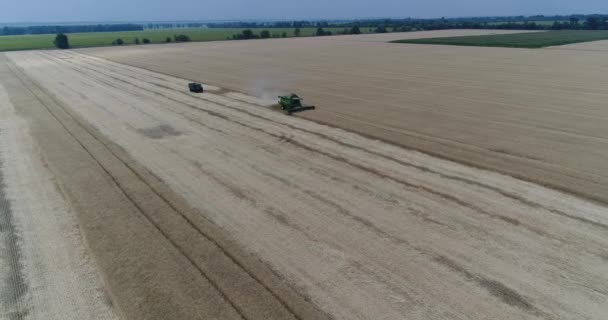 コンバインやトラクター大麦畑、麦畑、緑の収穫作業フィールド、上記からの眺め、フィールド収穫の小麦、エアリアル、4 k でハーベスターに取り組んでの空中写真 — ストック動画