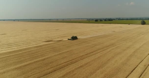 Luftaufnahme der Mähdrescher und Traktoren, die auf dem großen Weizenfeld arbeiten, Mähdrescher auf dem Weizenfeld, grüne Mähdrescher, die auf dem Feld arbeiten, Blick von oben, das Feld bei der Weizenernte, Antenne, 4k — Stockvideo