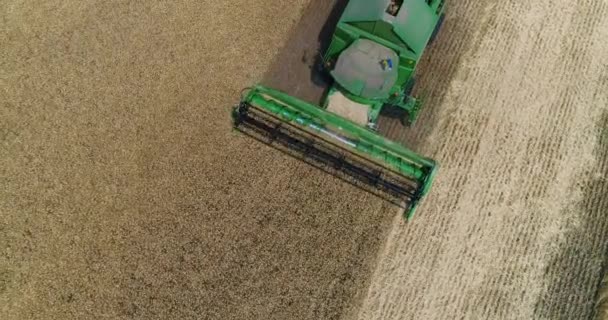 Вид с воздуха на комбайны и тракторы, работающие на большом пшеничном поле, харвестер на пшеничном поле, Зеленый комбайн, работающий на поле, Вид сверху, поле уборки пшеницы, антенна, 4k — стоковое видео