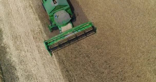 Vue aérienne sur les moissonneuses-batteuses et les tracteurs travaillant sur le grand champ de blé, Récolteuse sur le champ de blé, Récolteuse verte travaillant sur le champ, Vue d'en haut, le champ récoltant du blé, aérienne, 4k — Video