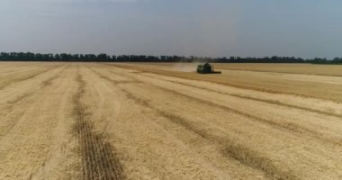 Büyük buğday alan, buğday alanında, çalışma alanı, yukarıdaki görünümünden, alan hasat buğday, anten, 4 k yeşil hasat hasat üzerinde çalışıyor Traktörler ve biçerdöverler havadan görünümü