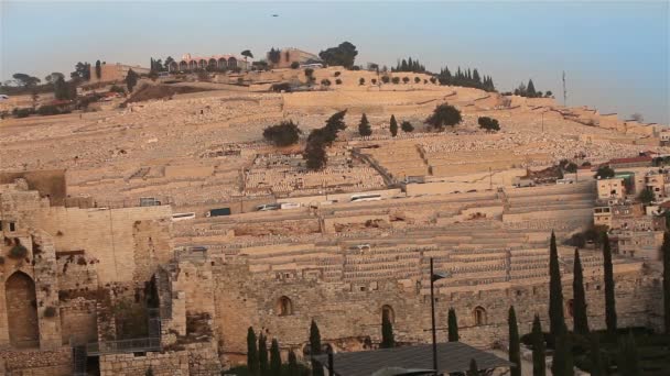 Jerusalem, Israel, Västra muren, klagomuren, hög vinkel bred vy av judiska män be och dyrka vid klagomuren i jerusalem — Stockvideo