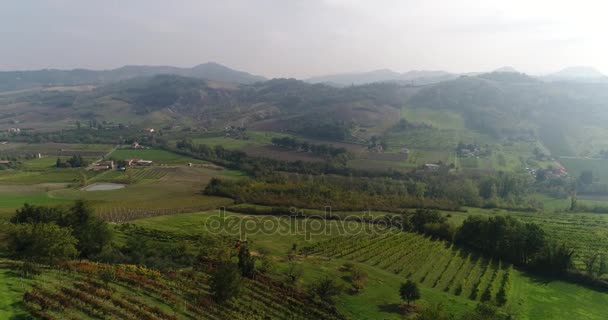 Долина з виноградниками, виноградники, приклад аерофотозйомки над виноградниками в дивовижному тосканському пейзажі, панорама, суні день — стокове відео