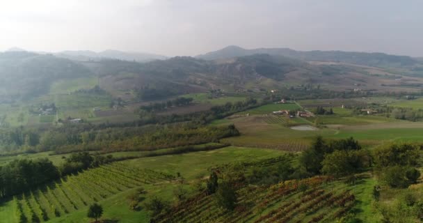 Üzüm bağları, üzüm bağları, Vadisi düşündüren bir hava video üzüm bağları bir muhteşem Toskana manzara, panorama, suny gün üzerinden — Stok video