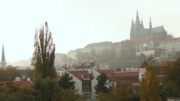 Praga vista sui ponti lungo il fiume, Castello Petrin montagna — Video Stock