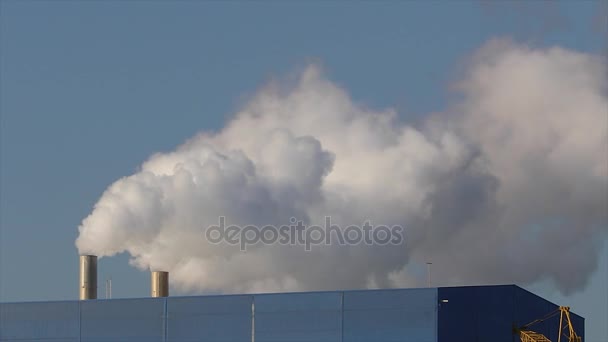 Smoke from a pipe on the roof of a factory or factory, the roof of a production room with a pipe, white thick smoke exits the pipe — Stock Video