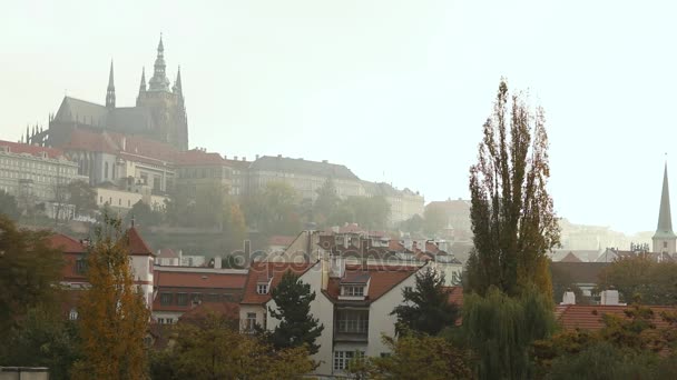 Blick auf Prager Flussbrücken, Burg Petrin — Stockvideo