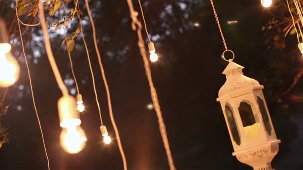 Decorative lampadine a incandescenza in stile edison antico appese nel bosco, lanterna di vetro, lampada decorazione giardino di notte, foresta magica, lampadine e bagliore appendere sull'albero nella foresta — Video Stock