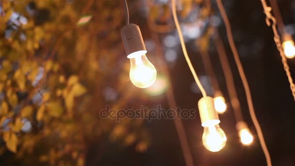 Decorative antique edison style filament light bulbs hanging in the woods, glass lantern, lamp decoration garden at night, magic forest, light bulbs and glow hang on the tree in the forest — Stock Video